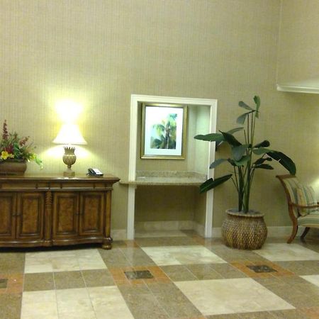 Royal Palms Apartment Briarcliffe Acres Εξωτερικό φωτογραφία