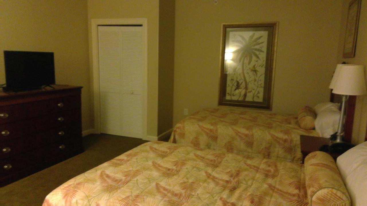 Royal Palms Apartment Briarcliffe Acres Εξωτερικό φωτογραφία