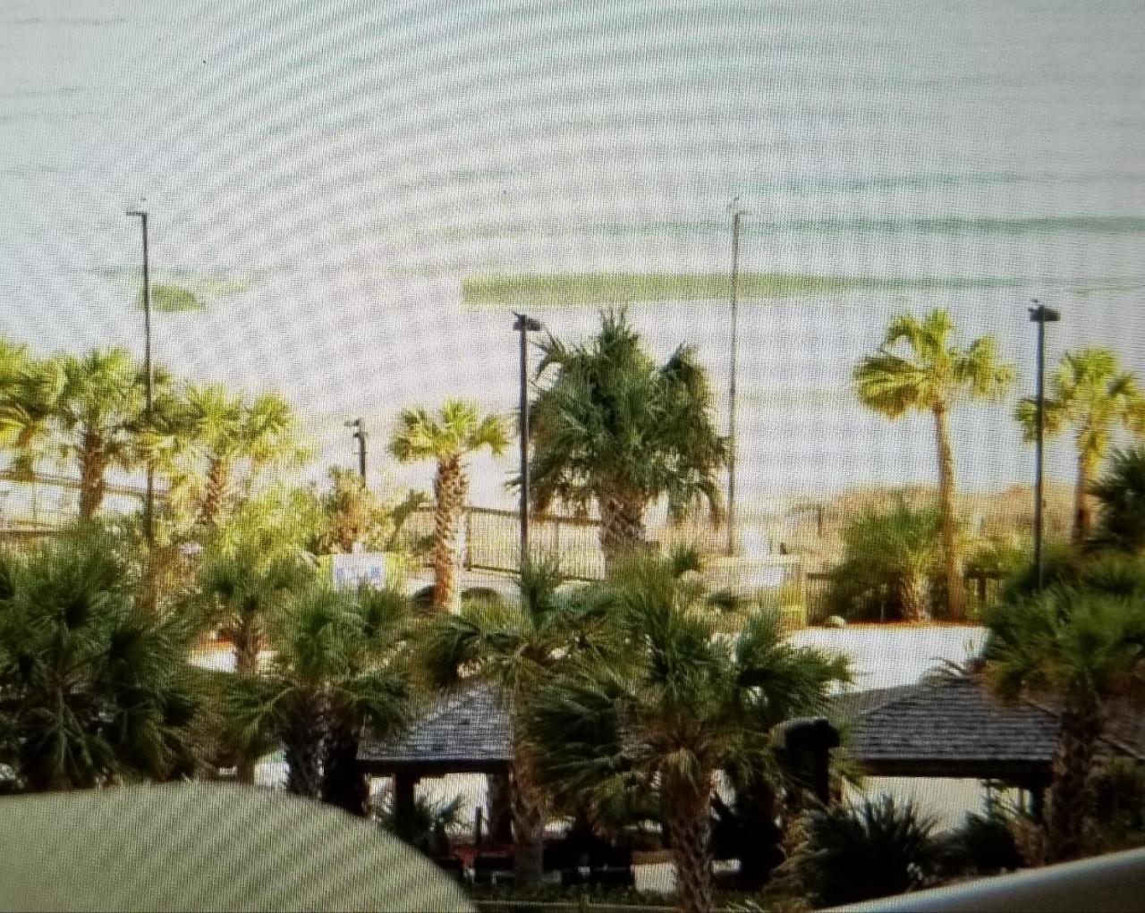 Royal Palms Apartment Briarcliffe Acres Εξωτερικό φωτογραφία
